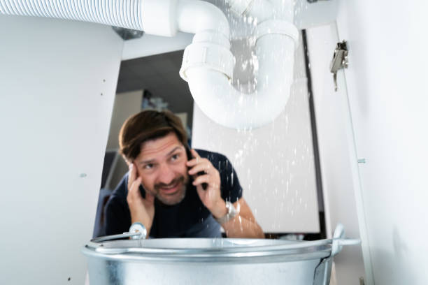 Best Affordable Plumber Near Me  in Pine Hills, CA